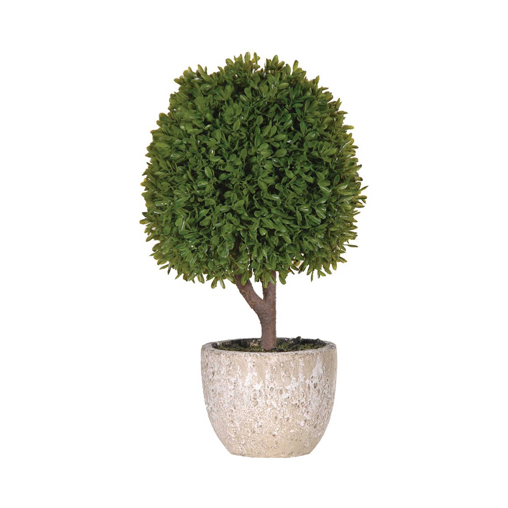 Faux topiary ball bush plant in a stone look clay pot Dimensions: H:380 Dia:220 mm Pot dimensions - H:100 Dia:130mm Delivery: 7-10 days